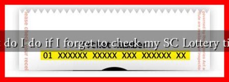 What do I do if I forget to check my SC Lottery ticket? What do I do if I forget to check my SC Lottery ticket?