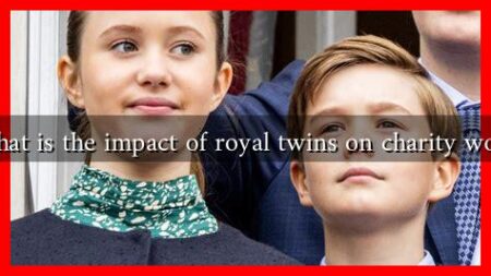 What is the impact of royal twins on charity work