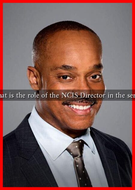 What is the role of the NCIS Director in the series