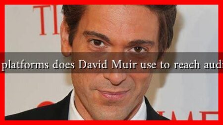 What platforms does David Muir use to reach audiences