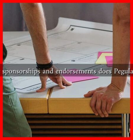 What sponsorships and endorsements does Pegula have What sponsorships and endorsements does Pegula have