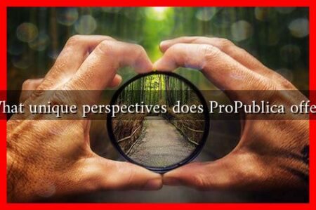 What unique perspectives does ProPublica offer?