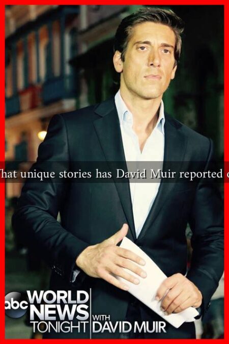 What unique stories has David Muir reported on