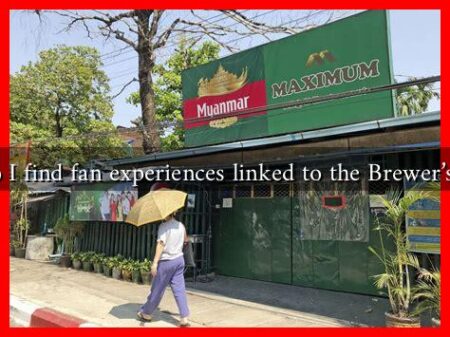 Where do I find fan experiences linked to the Brewer's schedule