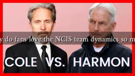 Why do fans love the NCIS team dynamics so much