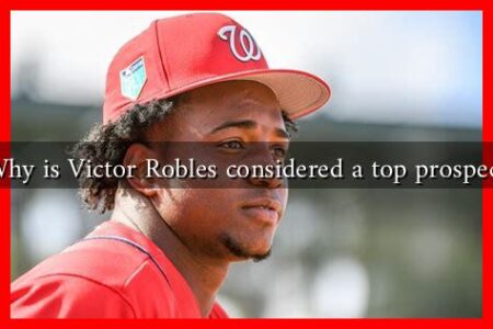 Why is Victor Robles considered a top prospect