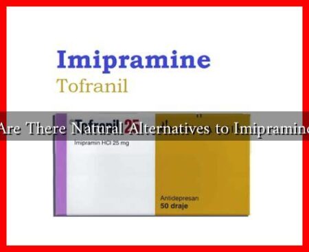 Are There Natural Alternatives to Imipramine