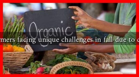 Are organic farmers facing unique challenges in fall due to climate change? Are organic farmers facing unique challenges in fall due to climate change?