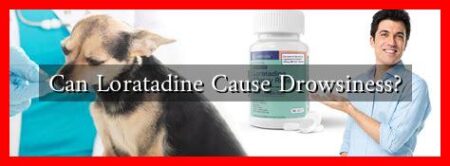 Can Loratadine Cause Drowsiness?