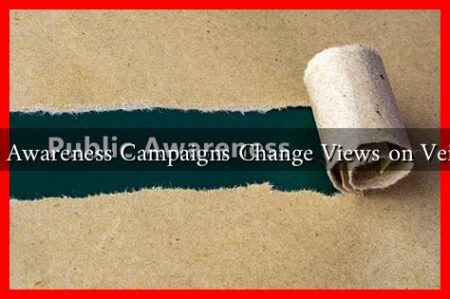 Can Public Awareness Campaigns Change Views on Veil Wearing?