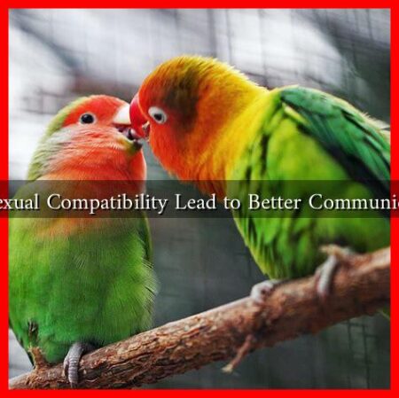 Can Sexual Compatibility Lead to Better Communication?