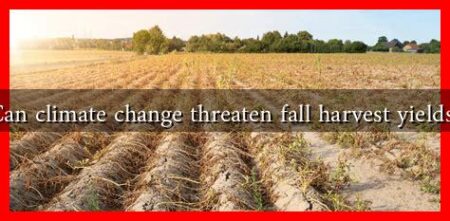 Can climate change threaten fall harvest yields?