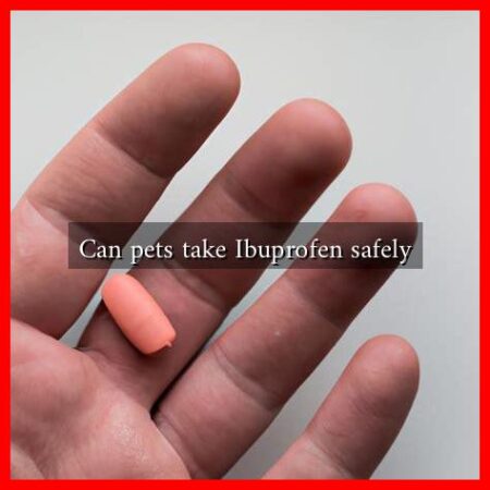 Can pets take Ibuprofen safely Can pets take Ibuprofen safely