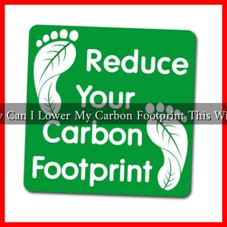 How Can I Lower My Carbon Footprint This Winter
