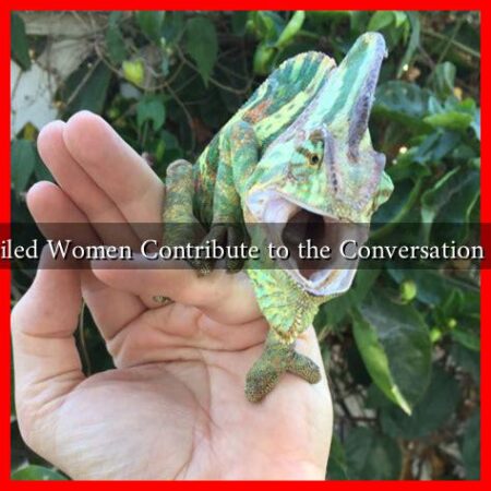 How Do Veiled Women Contribute to the Conversation on Identity?