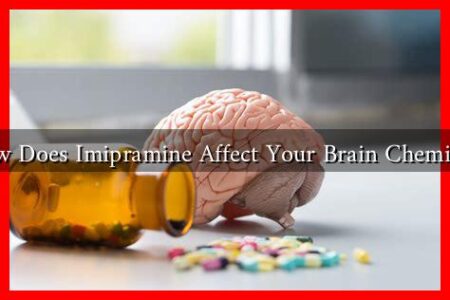 How Does Imipramine Affect Your Brain Chemistry