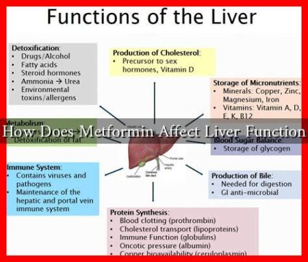 How Does Metformin Affect Liver Function