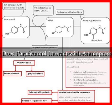 How Does Paracetamol Interact with Antidepressants?
