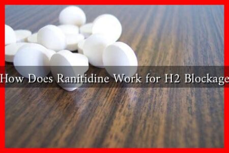 How Does Ranitidine Work for H2 Blockage How Does Ranitidine Work for H2 Blockage