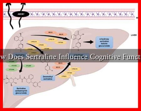 How Does Sertraline Influence Cognitive Function