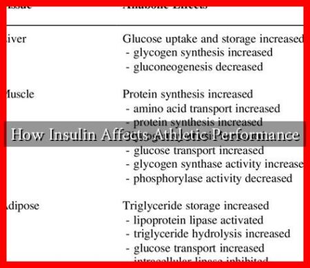How Insulin Affects Athletic Performance How Insulin Affects Athletic Performance