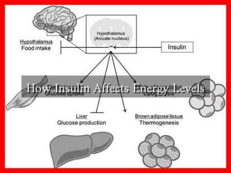 How Insulin Affects Energy Levels