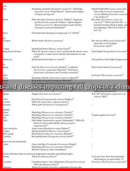 How are pests and diseases impacting fall crops in a changing climate?