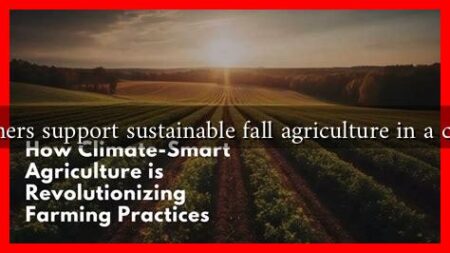 How can consumers support sustainable fall agriculture in a changing climate?