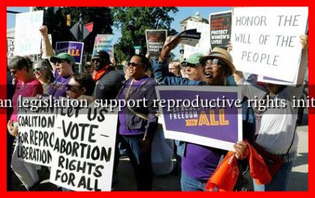 How can legislation support reproductive rights initiatives? How can legislation support reproductive rights initiatives?