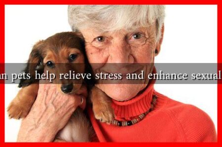 How can pets help relieve stress and enhance sexual desire? How can pets help relieve stress and enhance sexual desire?
