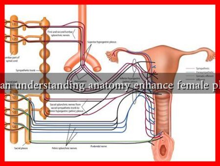 How can understanding anatomy enhance female pleasure How can understanding anatomy enhance female pleasure