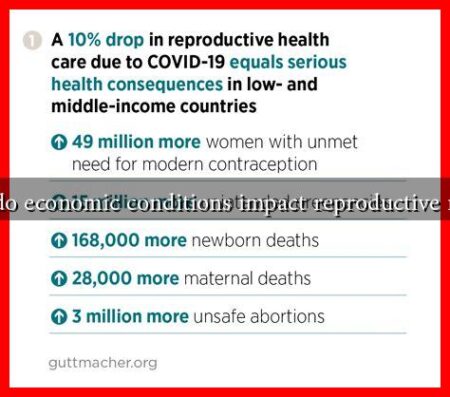 How do economic conditions impact reproductive rights?
