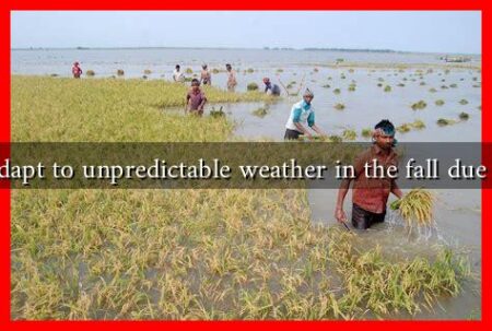 How do farmers adapt to unpredictable weather in the fall due to climate change?