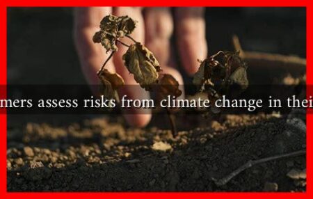 How do farmers assess risks from climate change in their fall crops?
