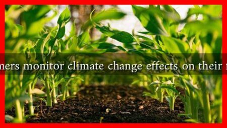 How do farmers monitor climate change effects on their fall harvests? How do farmers monitor climate change effects on their fall harvests?