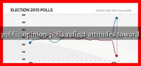 How do public opinion polls reflect attitudes toward the veil?