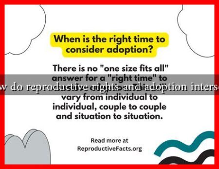 How do reproductive rights and adoption intersect?