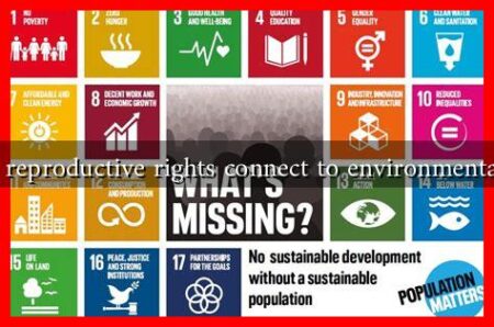 How do reproductive rights connect to environmental issues?