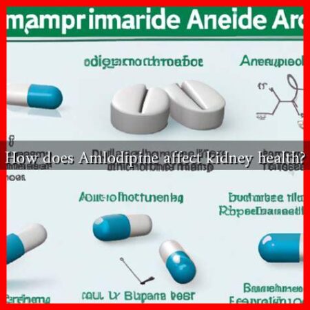 How does Amlodipine affect kidney health? How does Amlodipine affect kidney health?