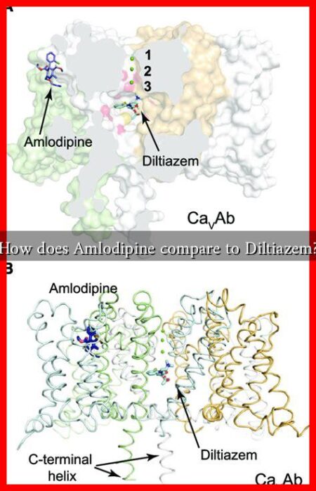 How does Amlodipine compare to Diltiazem?
