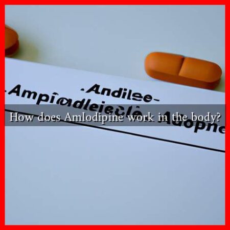 How does Amlodipine work in the body? How does Amlodipine work in the body?