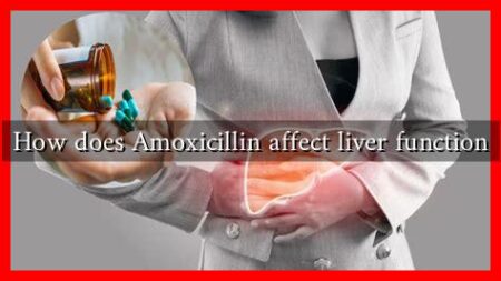 How does Amoxicillin affect liver function