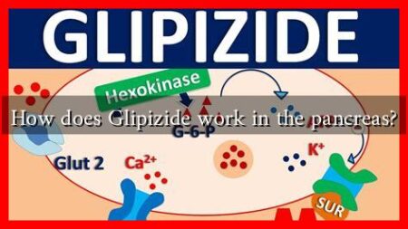 How does Glipizide work in the pancreas?