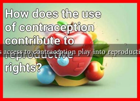 How does access to contraception play into reproductive rights?