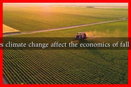 How does climate change affect the economics of fall farming? How does climate change affect the economics of fall farming?
