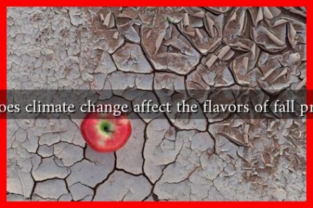 How does climate change affect the flavors of fall produce?