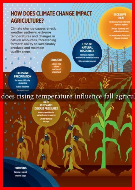 How does rising temperature influence fall agriculture?