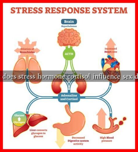 How does stress hormone cortisol influence sex drive?