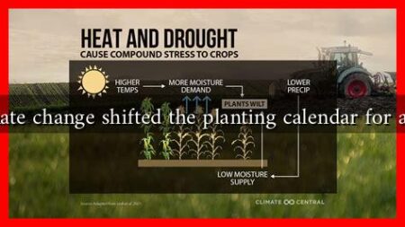 How has climate change shifted the planting calendar for autumn crops? How has climate change shifted the planting calendar for autumn crops?