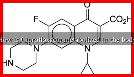 How is Ciprofloxacin metabolized in the body How is Ciprofloxacin metabolized in the body